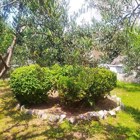 Apartmani Trubi 2 Vodice Buitenkant foto