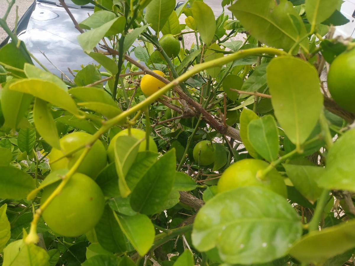Apartmani Trubi 2 Vodice Buitenkant foto